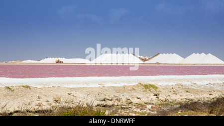 Il sale di mari operazione mineraria sull'isola caraibica di Bonaire. La reazione chimica in acqua lo trasforma rosa luminoso. Foto Stock