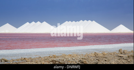 Il sale di mari operazione mineraria sull'isola caraibica di Bonaire. La reazione chimica in acqua lo trasforma rosa luminoso. Foto Stock