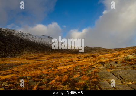 Capra cadde in inverno, isola di Arran Foto Stock