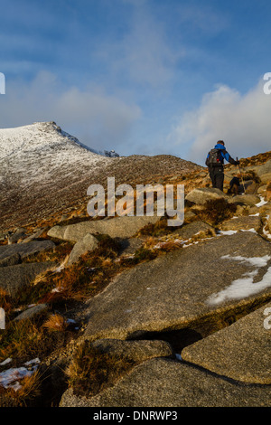 Capra cadde in inverno, isola di Arran Foto Stock