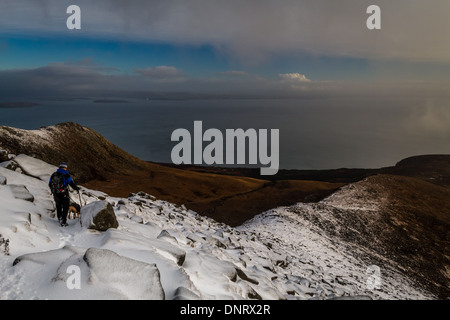 Capra cadde in inverno, isola di Arran Foto Stock