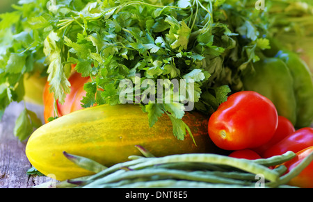 Pomodori, cetrioli e coriandolo herb Foto Stock