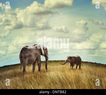 I giovani dell' elefante africano con la madre Foto Stock