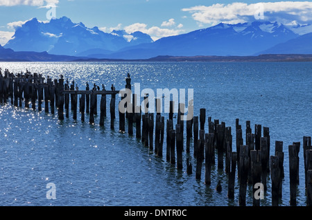 Patagonia bay e montagne da Puerto Natales con cormorani sul vecchio palificazioni e Monte Balmaceda attraverso ultima speranza il suono Foto Stock