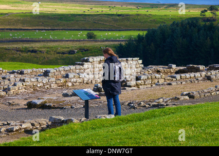 I turisti a Housteads Roman Fort il vallo di Adriano National Trail, Northumberland England Regno Unito Gran Bretagna UK GB Foto Stock