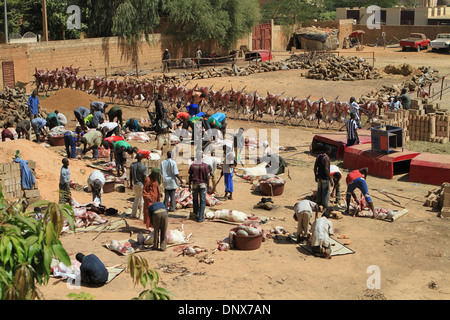Gli uomini della comunità di Niamey, Niger lavorare insieme al sacrificio di pecore come parte della celebrazione della Tabaski (Eid-al-Adha) Foto Stock