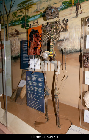 Homo Erectus skeleton noto come Big Boy o Turkana Boy datato a 1,6 milioni di anni visualizzato nel Museo Nazionale di Nairobi Kenya Foto Stock