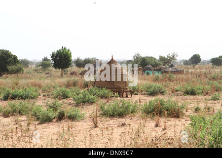 Il villaggio tradizionale di scena in Niger con terreni coltivati e alloggiamento Foto Stock