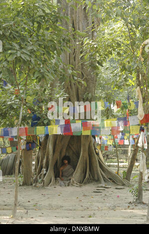 Dic 05, 2005; Atan pur, Bara, Nepal; RAM BAHADUR BANJAN, 16, è stata meditando in una giungla Nepalese per sei mesi nella bara, circa 160 km a sud di Kathmandu, Nepal. Egli ha riferito stata seduta immobile senza cibo o acqua dal maggio 17. Una stima di 10.000 persone visita lui quotidianamente, credendo che egli è la reincarnazione di Buddha mentre altri hanno dubbi. I suoi seguaci tenere lui fro Foto Stock