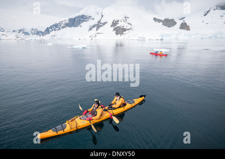 Antartide - Kayakers in tandem kayak in acque tranquille a de Cuverville Island sulla penisola antartica. Vista da sopra. Foto Stock