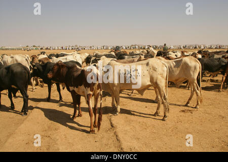 Jan 10, 2006; Nyala, nel Darfur, Sudan; Kalma IDP camp durante il festival di Eid ul Adha, islamica del giorno di vacanza di espiazione, il governo sudanese ha donato il bestiame per essere macellati all'IDP nel campo di Kalma, e pecore per la minore IDP camp a Otash. Credito: Foto di Wally nellâ/ZUMA premere. (©) Copyright 2006 by Wally nellâ Foto Stock