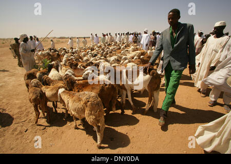 Jan 10, 2006; Nyala, nel Darfur, Sudan; Otash IDP camp durante il festival di Eid ul Adha, islamica di vacanza del giorno di espiazione, il governo sudanese ha donato il bestiame per essere macellati all'IDP nel campo di Kalma, e pecore per la minore IDP camp a Otash. Credito: Foto di Wally nellâ/ZUMA premere. (©) Copyright 2006 by Wally nellâ Foto Stock