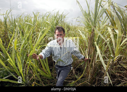 Jan 10, 2006; Belle Glade, FL, Stati Uniti d'America; Stewart Swanson(cq) con l'Università di Florida Everglades Research & Education Center in Belle Glade con canna da zucchero danneggiato dall'Uragano Wilma. Credito: Foto di Taylor Jones/Palm Beach post /ZUMA premere. (©) Copyright 2006 da Palm Beach post Foto Stock