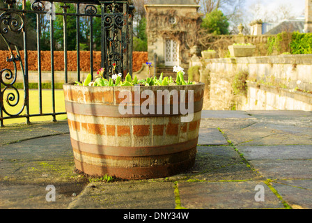 Fiori piantati in una botte di rovere Foto Stock