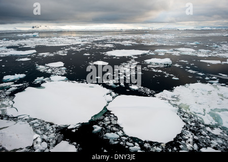 Sea Ice on Water Surface Canale di Lemaire Penisola Antartica CANALE Antartide / LEMAIRE, Antartide - il ghiaccio marino copre la superficie dell'acqua nel Canale di Lemaire lungo il lato occidentale della Penisola Antartica, dove lo stretto si estende tra Booth Island e la costa Graham della terraferma antartica. Lungo circa 7 miglia (11 km) e con una media di circa 1 miglio (1,6 km) di larghezza, il canale è definito da scogliere rocciose a strapiombo e fronti dei ghiacciai che si innalzano quasi verticalmente dall'acqua su entrambi i lati. Negli anni ghiacciati pesanti il passaggio può essere completamente bloccato, richiedendo alle navi da spedizione di trasformarsi in ba Foto Stock