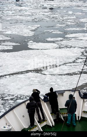 Antartide - passeggeri in piedi sulla prua di un ghiaccio antartico rafforzato la nave di crociera come si naviga tra le strette Lemaire Channel sul lato occidentale della penisola antartica. Il Lemaire Channel è talvolta indicata come "Kodak Gap' in un cenno al suo famoso vedute panoramiche. Foto Stock