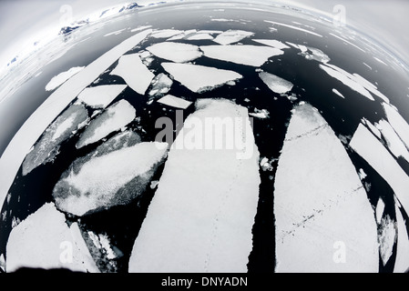 Tracce di pinguini sul ghiaccio marino Isola Petermann Antartide | ISOLA PETERMANN, Antartide — Tracce di pinguini attraversano il ghiaccio marino rotto vicino all'isola Petermann nell'arcipelago Wilhelm, al largo della penisola antartica occidentale, registrando il viaggio quotidiano dei pinguini di Adelia e dei pinguini papua tra i siti di nidificazione e le acque libere. Il cumulo storico dell'isola sulla collina Megalestris è protetto come sito storico e monumento n. 27 del Trattato Antartico. Foto Stock