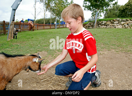 Un piccolo ragazzo alimentando un pigmeo di capra Foto Stock