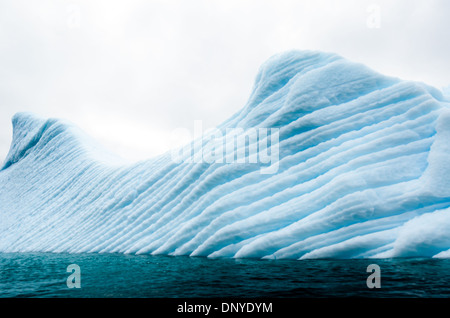 Antartide - un iceberg blu con inciso profondamente scanalature risiede nelle acque Melchior isola sul lato occidentale della penisola antartica. Le scanalature sono causati da aria compressa la fuoriuscita di bolle come un iceberg si scioglie lentamente. Foto Stock