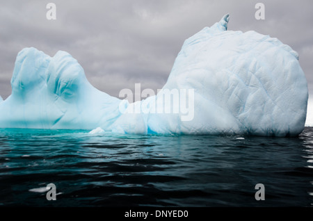 Antartide - forma complessamente iceberg galleggianti in un iceberg cimitero raggruppato in una grotta nei pressi di Melchior Island in Antartide. Foto Stock