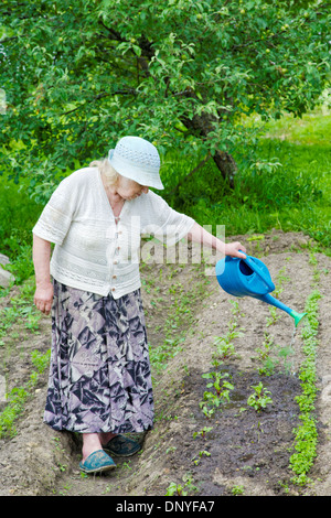 La nonna acque letto da un annaffiatoio Foto Stock