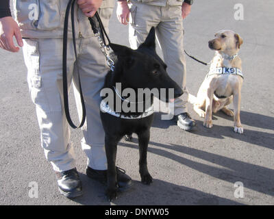 Feb 11, 2006; Las Vegas, NV, STATI UNITI D'AMERICA; Wynn Las Vegas Le guardie di sicurezza con speciali K9 sniffing di bomba cani pronte per area di pattuglia al Thomas & Mack Center. Il K9 è anche utilizzato presso il Wynn Las Vegas Hotel, il K9 sono piombo da speciali addestrati guardie di sicurezza dentro e fuori la zona dell'hotel. Il K9 unità è stata utilizzata per una maggiore sicurezza durante il campionato lotta MANNY PACQUIAO & ERI Foto Stock