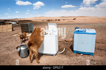 Deserto dei Gobi, Mongolia. Xxv Sep, 2012. Una sete di bevande di capra da una macchina di bucato nel Deserto del Gobi. Insieme alla pastorizia, i membri della famiglia il lavoro qui vicino ad una miniera, fornendo reddito extra per servizi come questa energia solare di lavatrice. (Credito Immagine: © Taylor Weidman/zReportage.com via ZUMA Press) Foto Stock