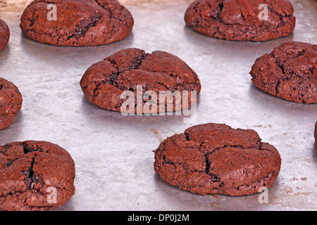 Fatti in casa a base di cioccolato fondente biscotti freschi di forno raffreddarsi mentre è ancora in padella Foto Stock