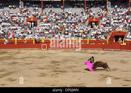 Feria Señor de los Milagros in Plaza de Acho a Lima in Perù . 6 Tori da San Sebastian de las Palmas Hacienda. Foto Stock