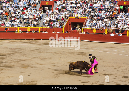 Feria Señor de los Milagros in Plaza de Acho a Lima in Perù . 6 Tori da San Sebastian de las Palmas Hacienda. Foto Stock