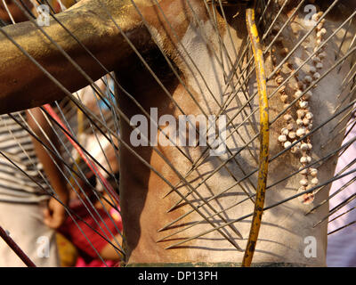 Apr 14, 2006; di Chennai, nello Stato del Tamil Nadu, in India; un devoto di Amman trafigge il suo corpo per avere la sua preghiera ha risposto. Più tardi quella sera sarà lui a camminare sui carboni ardenti. Credito: Foto di Daniel Wilkinson/Daniel Wilkinson. (©) Copyright 2006 da Daniel Wilkinson Foto Stock