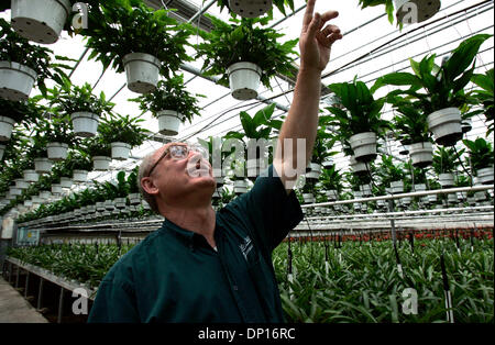 Apr 21, 2006; Fallbrook, CA, Stati Uniti d'America; TONY GODFREY, proprietario e presidente della collina degli ulivi serre, parla della tecnica utilizzata per l'acqua "pace lily' piante bromeliacee sopra in una delle undici serre su 18 acri di terreno in Fallbrook. La società è un grande produttore di bromeliacee, orchidee e piante da interni. Credito: Foto di Laura Embry/SDU-T /ZUMA premere. (©) Copyright 2006 da scheda SD Foto Stock