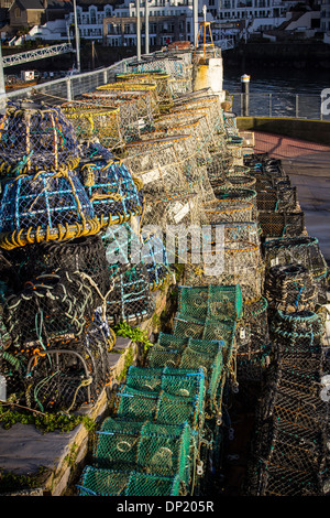 Lobster Pot,lobster pot,brixham trawler flotta,brixham harbour,l'estremità,barca, bouy, Brixham, cattura, granchio, dock, pesce, fisherman Foto Stock