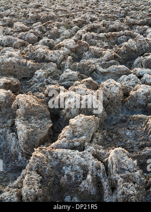 Roccia erosa pinnacoli di sale sul Devil's Campo da Golf, una coppa di sale nella Valle della Morte, bacino Badwater Foto Stock