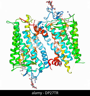 Molecola di rodopsina Foto Stock