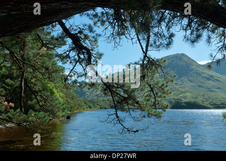 Lough Pollacappul in scenic paesaggio montuoso impostazione, Connemara, nella contea di Galway, Repubblica di Irlanda. Foto Stock