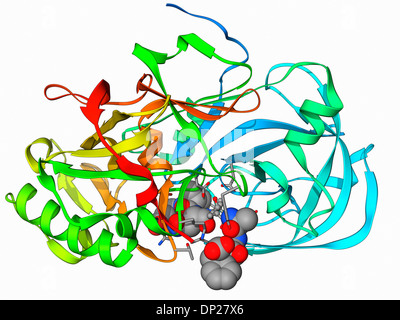 Beta secretasi enzima, modello molecolare Foto Stock