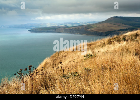 Una vista da St Aldhelm di testa in Purbeck cercando lungo la Jurassic Coast in Dorset Regno Unito verso Kimmeridge Bay. Foto Stock
