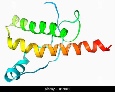 Prione umano proteina precursore Foto Stock