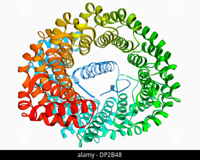 Importin proteina di eterodimero Foto Stock