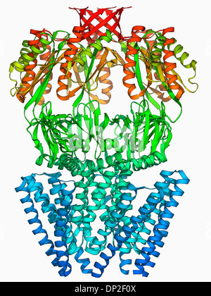 MscS proteina di canale ionico struttura Foto Stock