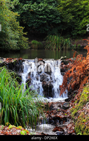 Un piccolo laghetto e cascata in Clyne giardini, il Mumbles, Galles del Sud Foto Stock