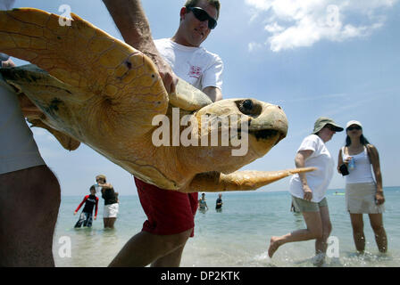 Jun 06, 2006; Boca Raton, FL, Stati Uniti d'America; Boca Raton lifeguard Greg Ryan aiuta a portare Sailor, la tartaruga caretta, casa sulla spiaggia di South Beach Park Martedì 6 giugno 2006. Ryan salvato Sailor nel surf nel febbraio 18. Il martedì, ha contribuito a un team da Gumbo Limbo Nature Center release marinaio e un altro Caretta, Oleta, nell'Oceano Atlantico. Credito: foto di Chris Matula/Palm Beach post/ZU Foto Stock