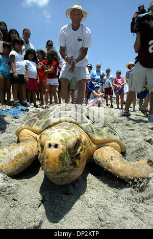 Jun 06, 2006; Boca Raton, FL, Stati Uniti d'America; allietate dal conservazionista marino Dr. Kirt Rusenko, marinaio, la tartaruga caretta, teste home, indietro nell'oceano a South Beach Park Martedì 6 giugno 2006. Boca Raton lifeguard Greg Ryan salvato Sailor nel surf nel febbraio 18. Il martedì, ha contribuito a un team da Gumbo Limbo Nature Center release marinaio e un altro Caretta, Oleta, nell'ATL Foto Stock