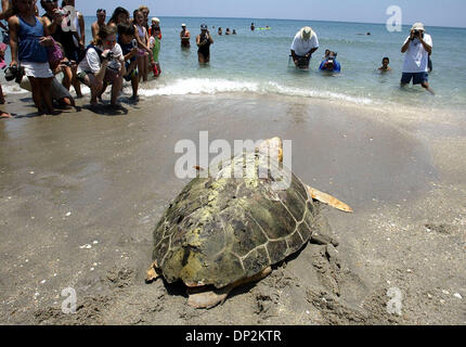 Jun 06, 2006; Boca Raton, FL, Stati Uniti d'America; applauditi da una folla di circa 100, marinaio, la tartaruga caretta, teste home, indietro nell'oceano a South Beach Park Martedì 6 giugno 2006. Boca Raton lifeguard Greg Ryan salvato Sailor nel surf nel febbraio 18. Il martedì, ha contribuito a un team da Gumbo Limbo Nature Center release marinaio e un altro Caretta, Oleta, nell'Oceano Atlantico. Obbligatorio Cr Foto Stock