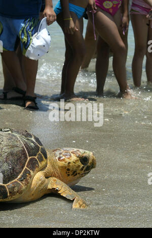 Jun 06, 2006; Boca Raton, FL, Stati Uniti d'America; una folla di circa 100 guarda come marinaio, la tartaruga caretta, trascina lentamente il suo modo home, indietro nell'oceano a South Beach Park Martedì 6 giugno 2006 in Boca Raton. Un team da Gumbo Limbo Nature Center rilasciato marinaio e un altro Caretta, Oleta, nell'Oceano Atlantico. Credito: foto di Chris Matula/Palm Beach post/ZUMA premere. (©) Copyri Foto Stock