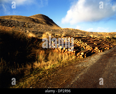 La registrazione su una collina gallese Foto Stock
