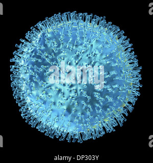 Virus dell'influenza aviaria, artwork Foto Stock