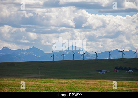 Generatori di vento nel campo, la gamma della montagna di background, Montana, USA Foto Stock