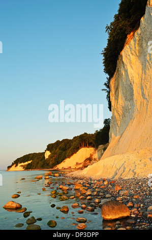 Chalk scogliere a Sunrise, Jasmund National Park, Ruegen Isola, Meclenburgo-Pomerania Occidentale, Germania Foto Stock